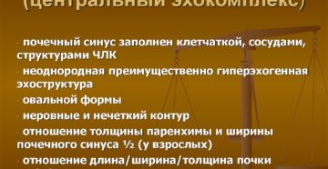 Синус почки что это такое