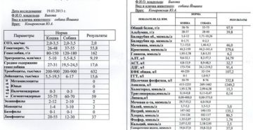 Анализ йод в крови