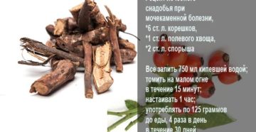 Корень шиповника от камней в почках рецепт