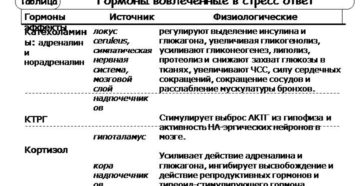 При стрессе какой гормон вырабатывается